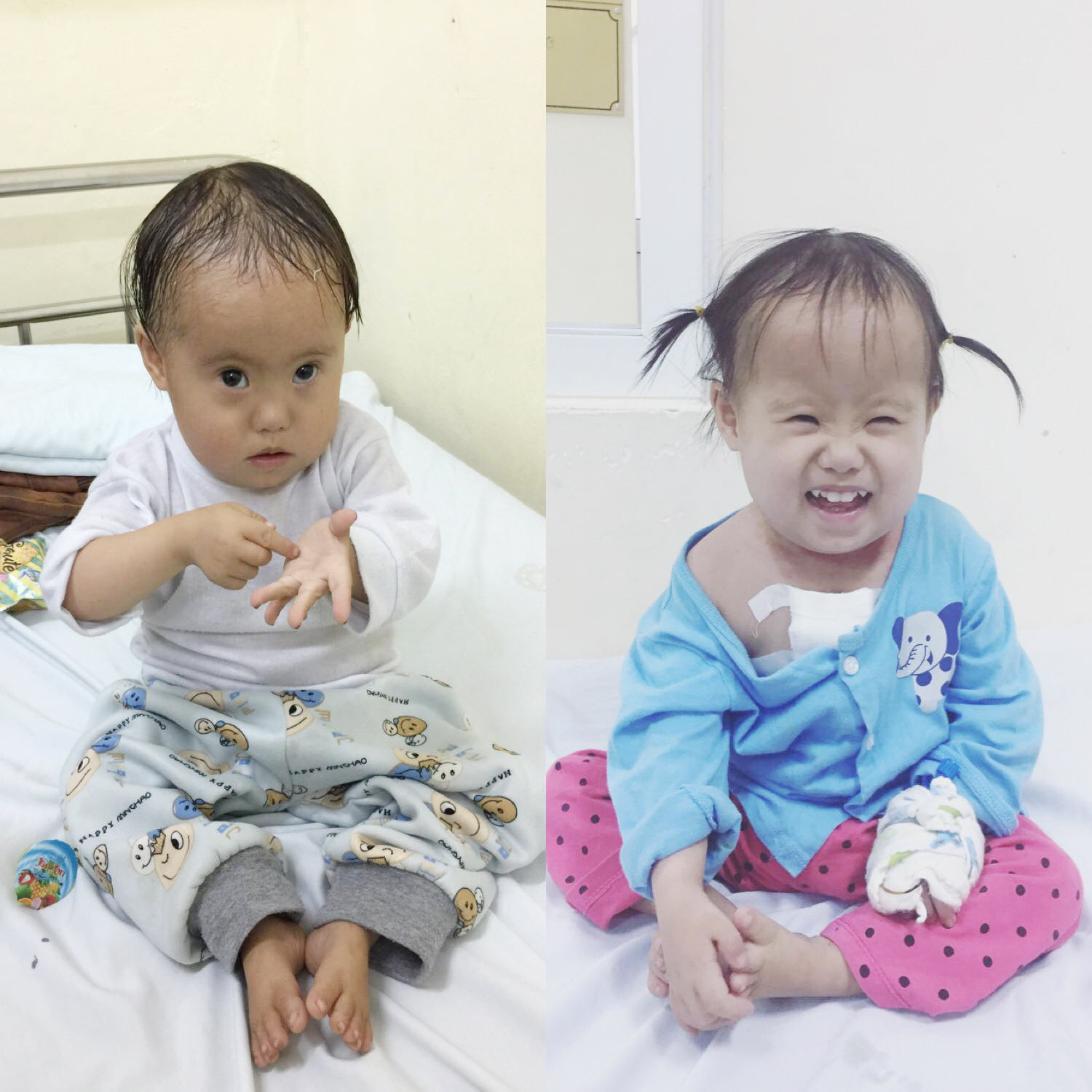 Phucbinh donation - hồ sơ số 2