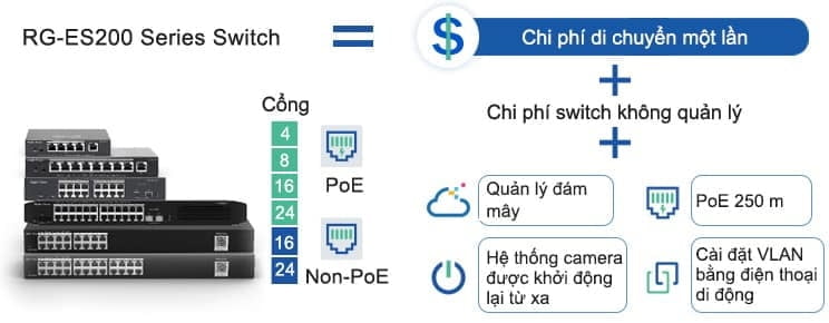 248976443 877476412913521 7723991066010941501 n