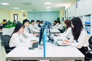 chi nhánh TP. Hồ Chí Minh