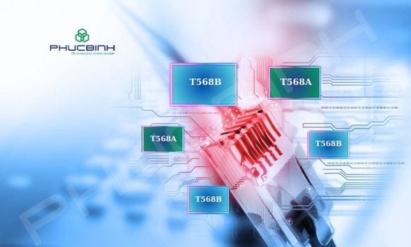Nên bấm dây mạng chuẩn A hay chuẩn B