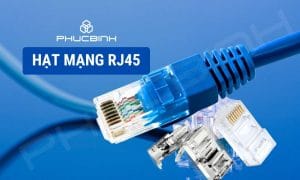 Hạt mạng RJ45 là gì? Hướng dẫn bấm và lưu ý khi lựa chọn 4 Hạt mạng RJ45 là gì