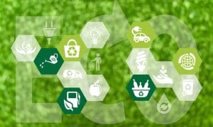 Trách nhiệm xã hội 1 Phúc Bình hướng tới phát triển bền vững, cam kết vì môi trường