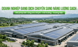 Vì sao điện năng lượng mặt trời ngày càng được doanh nghiệp lựa chọn? 4 Giải pháp năng lượng xanh với hệ thống điện năng lượng mặt trời áp mái cho doanh nghiệp và nhà máy